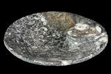 Round Fossil Goniatite Dish #73720-2